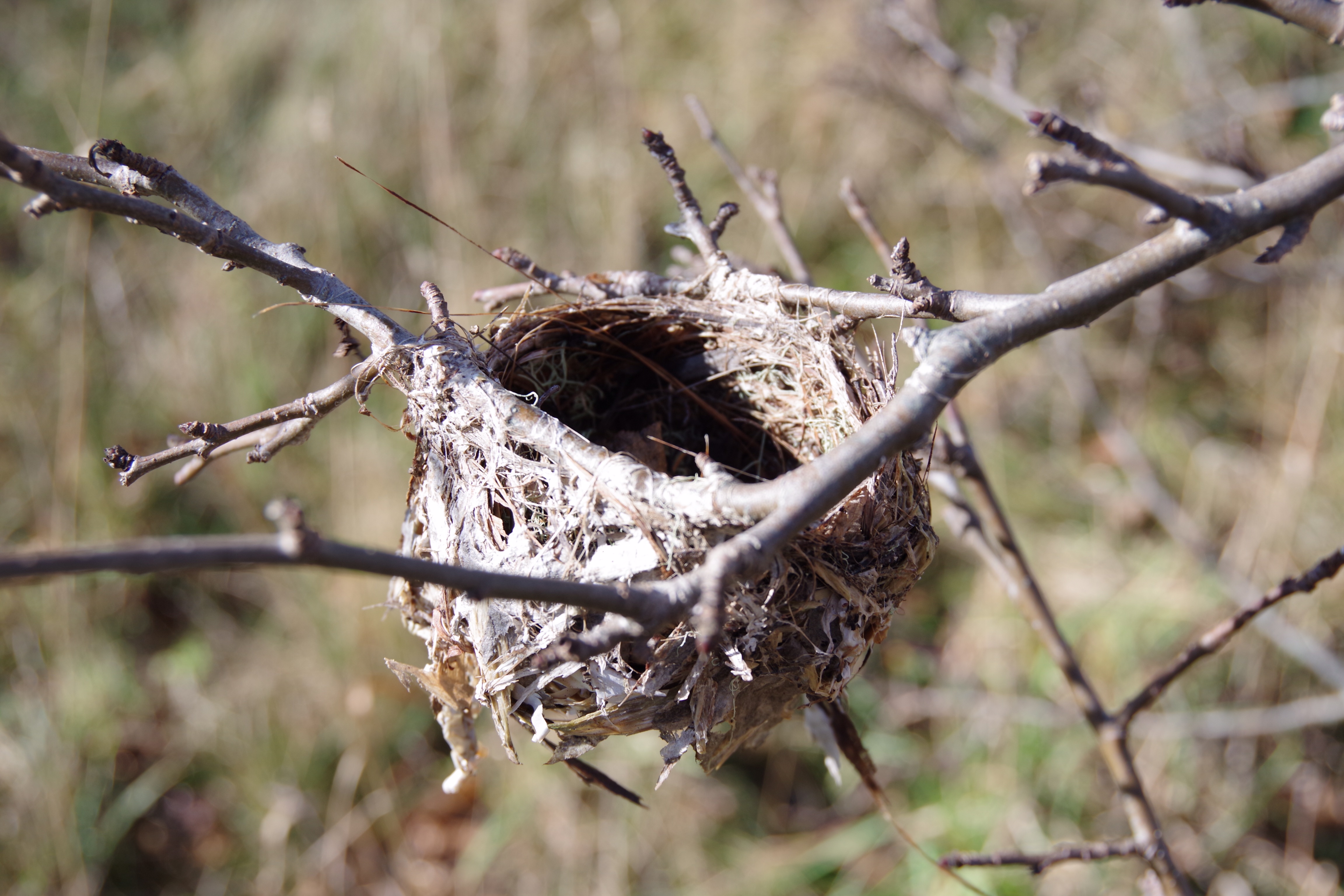 F3203721-1EB7-46EC-BE4B-EDAB58192C3C